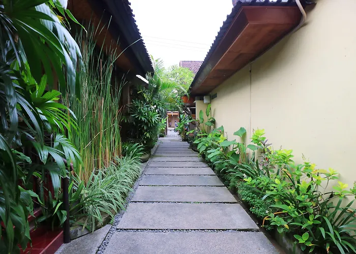 Wayan Sanur (Bali)