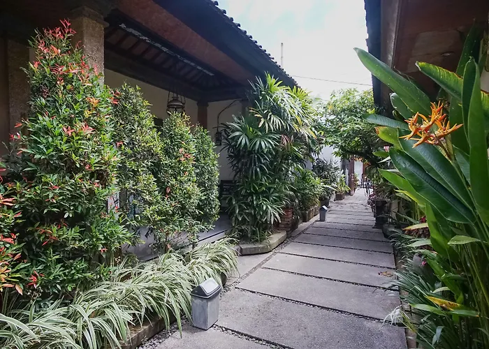 Wayan Sanur (Bali)